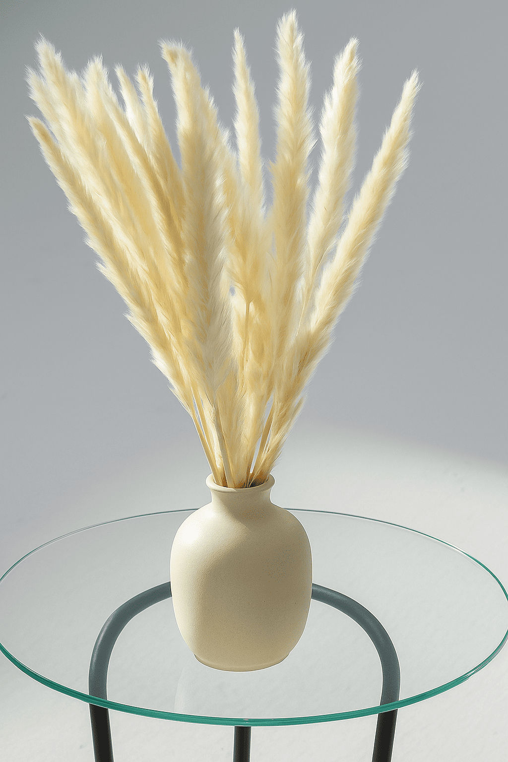 Dried Flower Off White Pampas