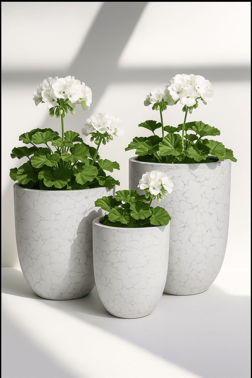 Black Veined Planter Set