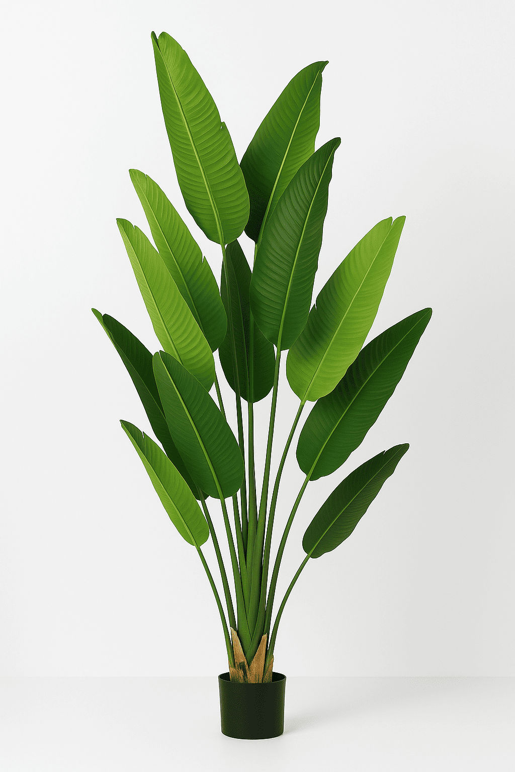 Regal Strelitzia Artificial Plant