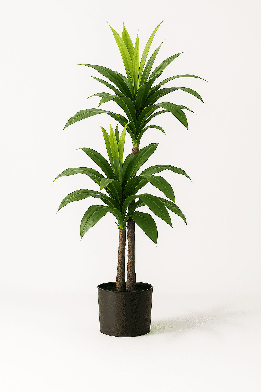 Twin Trunk Dracaena Artificial Plant