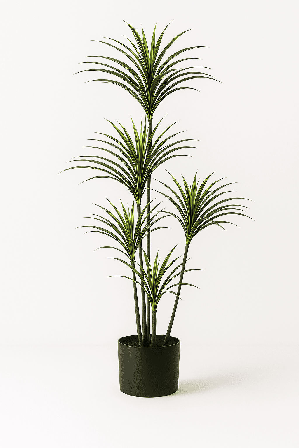 Variegated Yucca Artificial Tree - Wall Mirror - HomeCene UAE